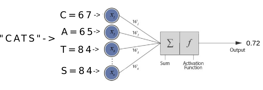 How a perceptron works with inputs, weights and activation function