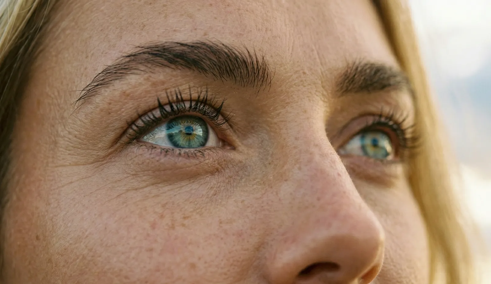 Data export and portability